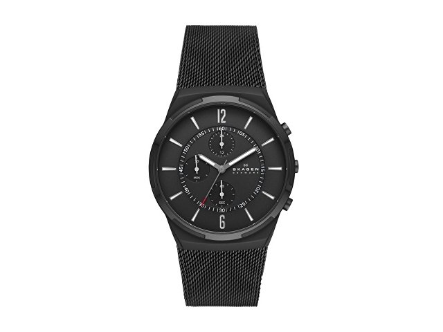 Часы наручные, мужские. Skagen