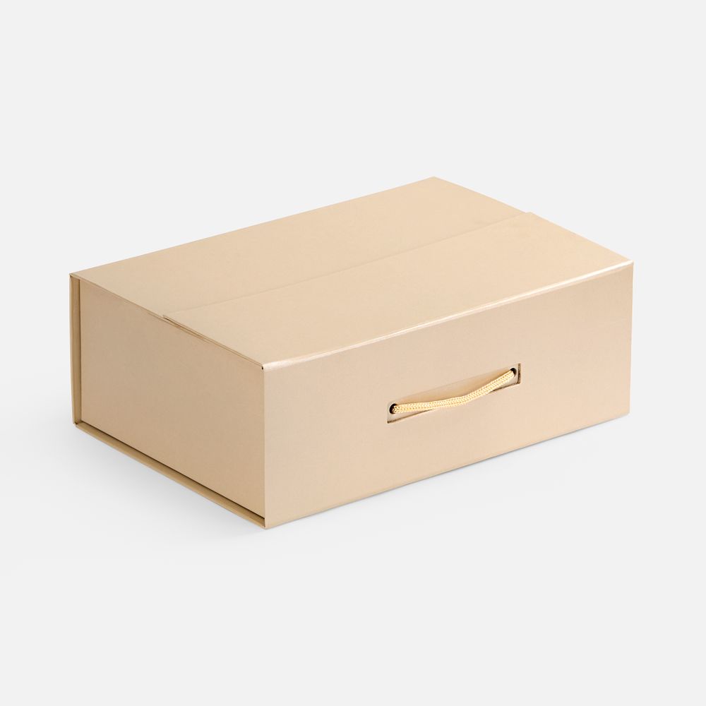 Коробка Portfolio, бежевая